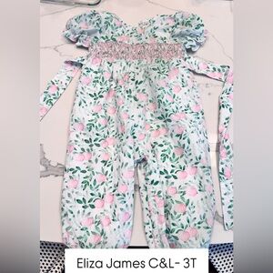 Eliza J (Cecil and Lou) Pink and Green Pumpkin Fall Floral Kids One Piece Smock